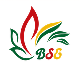 Your Store